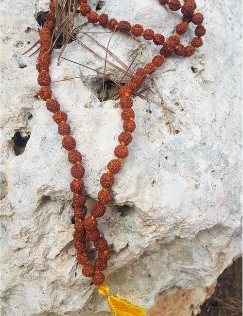 mala-Rudraksha-semilla-etnica-vegetal-collar