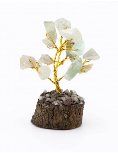 Fluorite Tree of Life