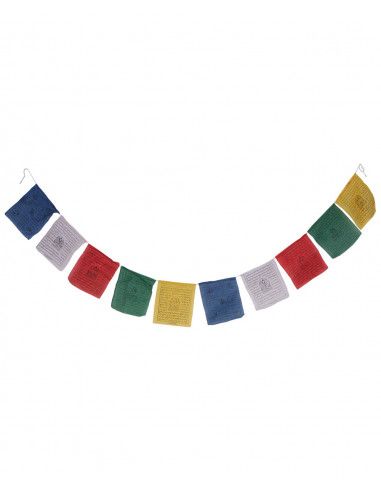 ethnic-flag-hindu-horse-colours