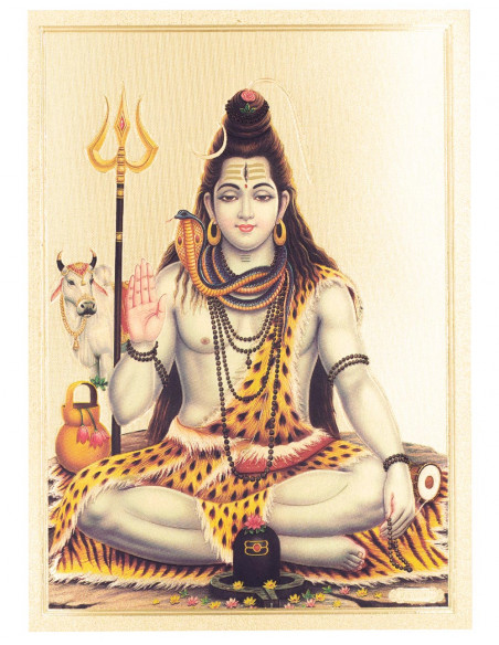 Shiva Sticker Sheet