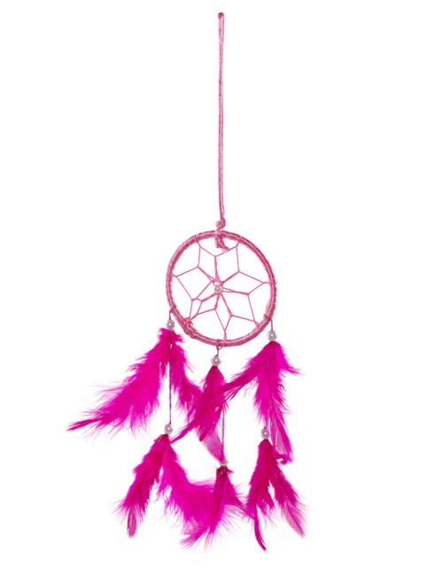 Dream-catcher-ethnic-fuchsia-plumes